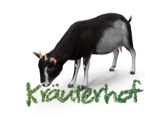 Eine Ziege frisst Kräuter. Die Kräuter bilden den Schriftzug Kräuterhof.