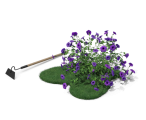 Eine Hake und ein Stück Rasen mit Blumen